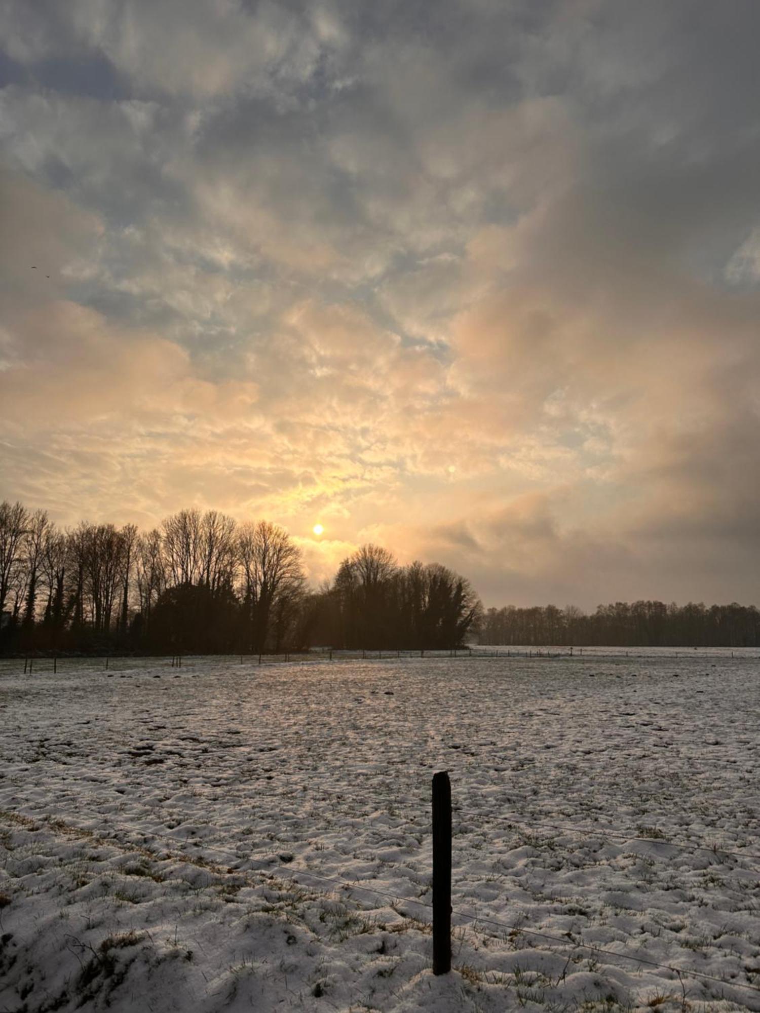 Herberg Sellingen Bagian luar foto